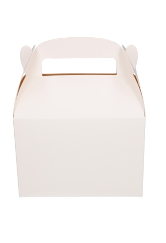 Draagdoosjes Danau Wit 17.3x11.4x12.3cm 25stuks