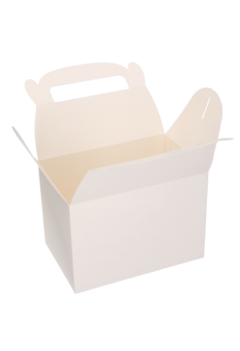 Draagdoos Lunchbox Danau Wit 17.3x11.4x12.3cm 25stuks