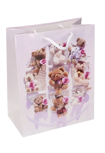 Kadotasjes Kind Middel Teddy Beer 18x10x23cm 12stuks