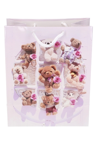 Kadotasjes Kind Middel Teddy Beer 18x10x23cm 12stuks