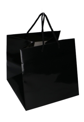 Kadotajes Rome Uni Zwart Glanzend Met Koord 25x25x25cm Extra Diep 10st Kadotajes Rome Uni Zwart Glanzend Met Koord 25x25x25cm Extra Diep 10st