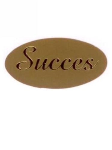 Etiketten Everyday Succes Goud 4x2 cm 500stuks