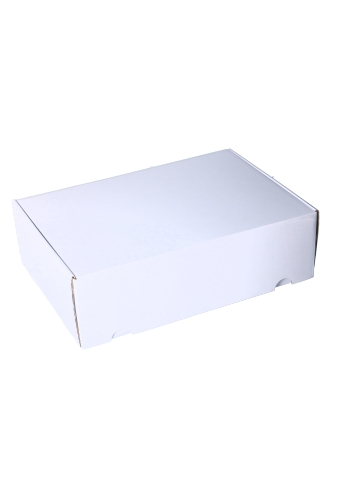 Luxe Verzenddoos Rolo Wit Blinkend 35x24x10.5cm 25stuks