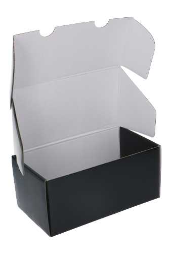 Luxe Verzenddoos Rolo Zwart Blinkend 23x12x10.8cm 25stuks