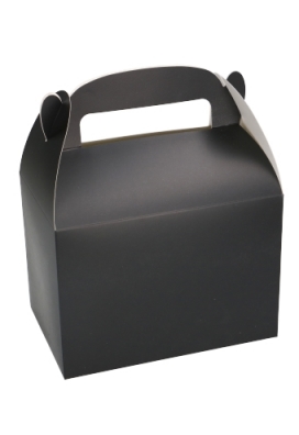 Draagdoosjes Danau Zwart 17.3x11.4x12.3cm 23stuks