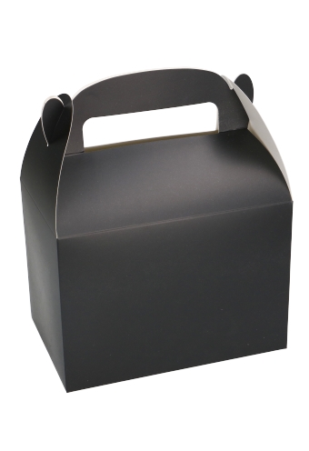 Draagdoosjes Danau Zwart 17.3x11.4x12.3cm 23stuks