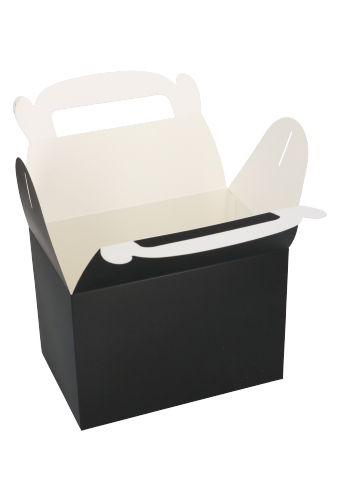 Draagdoosjes Danau Zwart 17.3x11.4x12.3cm 23stuks