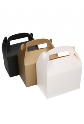 Draagdoosjes Danau Zwart 17.3x11.4x12.3cm 23stuks