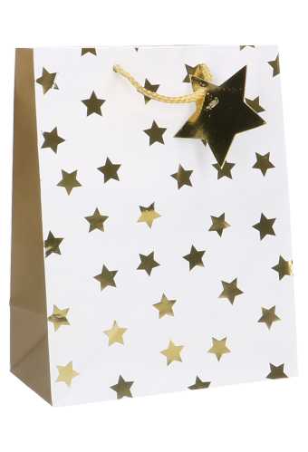 Kersttasjes Medium Metallic Gouden Sterren 18x10x23cm 10stuks
