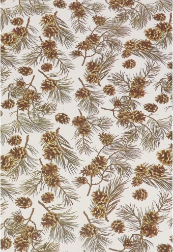 Kadofolie Dubbelzijdig Mint Groen & Dennenappeltjes 70cmx50meter