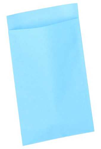 Kadozakjes Kraft Aqua Blauw 12x19cm 200stuks geschenkverpakking