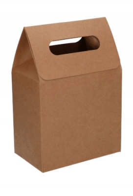 Kadodoos Flores Met Handgreep Hoog Model Kraft & Tape 13x8x18cm 10st