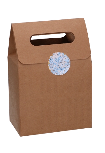 Kadodoos Flores Met Handgreep Hoog Model Kraft & Tape 13x8x18cm 10st