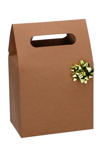 Kadodoos Flores Met Handgreep Hoog Model Kraft & Tape 13x8x18cm 10st