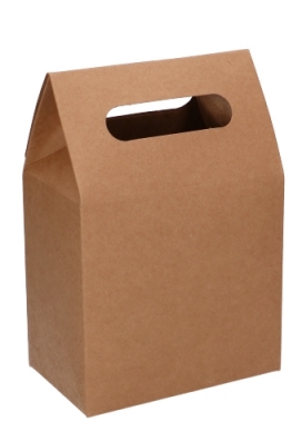 Kadodoos Flores Met Handgreep Hoog Model Kraft & Tape 13x8x18cm 10st