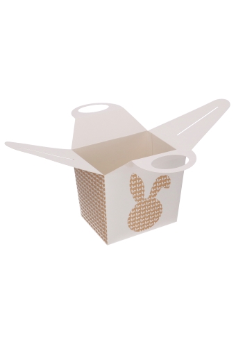 AKTIE Paasdoos Met Handgreep Haas 19x14x18cm 25stuks