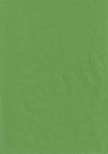 Kraft Bruin Inpakpapier Lime Groen 60gram 30cm x 250meter