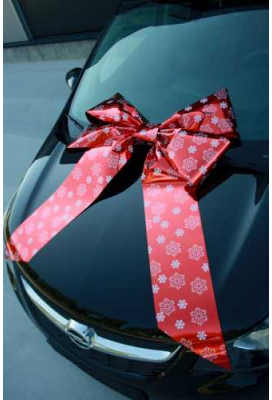Magnum Autostrik Livorno Rood Snow Flake Print Wit 70x50+60cm