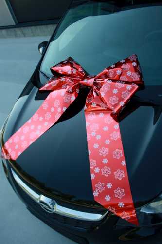 Magnum Autostrik Livorno Rood Snow Flake Print Wit 70x50+60cm