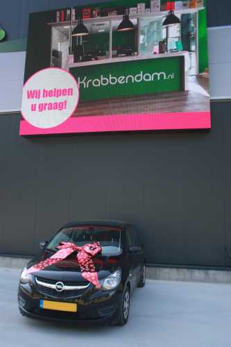 Magnum Autostrik Livorno Rood Snow Flake Print Wit 70x50+60cm