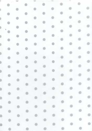 Cadeaufolie Transparant Zilveren Dots 70cm x 50meter 35my