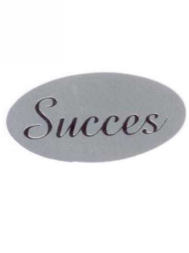Etiketten Everyday Succes Zilver 4x2 cm 500stuks Etiketten Everyday Succes Zilver 4x2 cm 500stuks