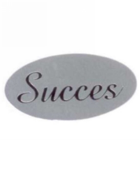 Etiketten Everyday Succes Zilver 4x2 cm 500stuks Etiketten Everyday Succes Zilver 4x2 cm 500stuks