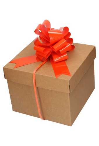 Strik Oranje Lak Doorsnee 15cm lint 5cm 1stuks