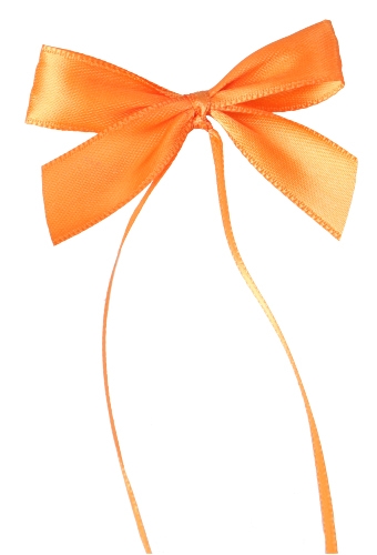 Strikje 100 Procent Recycled Pet Oranje & Lint 6x5cm 250stuks