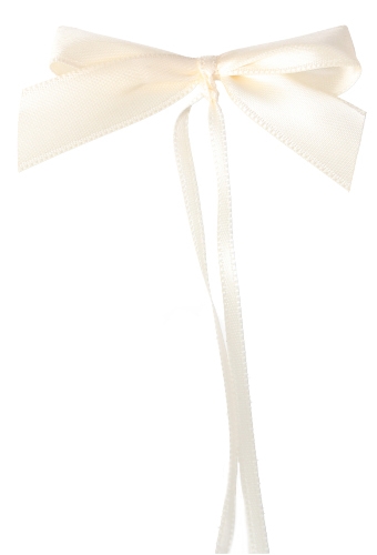 Strikje 100 Procent Recycled Pet Wit & Lint 6x5cm 250stuks