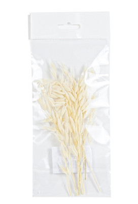 Droogbloemen Mini Decoratie Flowers Haver Wit 12cm 10stuks OP IS OP