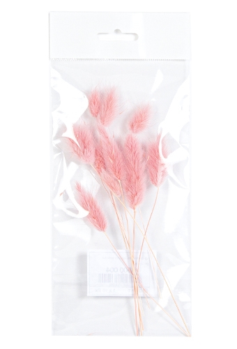 Droogbloemen Mini Decoratie Flower Lagurus Powder 12cm 10stuks