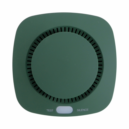 Brainz Rookmelder Groen 9.5x9.5x4.2cm 1stuks