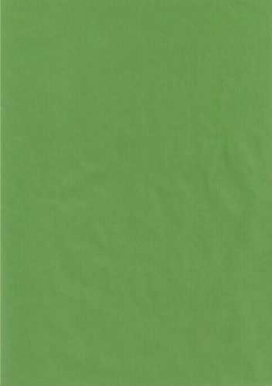 Kraft Bruin Inpakpapier Lime Groen 60gram 70cm x 250meter
