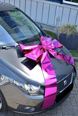 Magnum Autostrik Livorno Pink Bedrukt Met Tekst 70x50+90cm