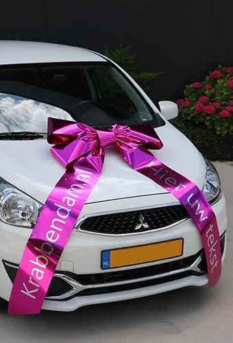 Magnum Autostrik Livorno Pink Bedrukt Met Tekst 80x50+90cm