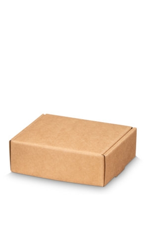 Klep Verzenddoos Pinto Smal Kraft 14.5x12x5cm 50stuks