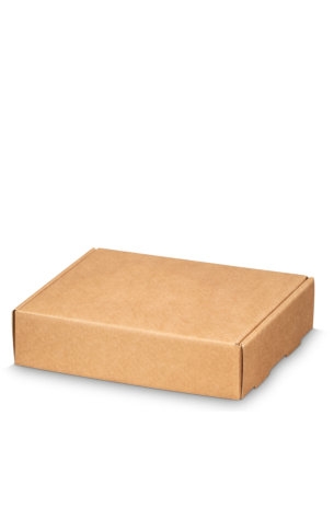 Klep Verzenddoos Pinto Middel Kraft 20.5x17x5cm 50stuks