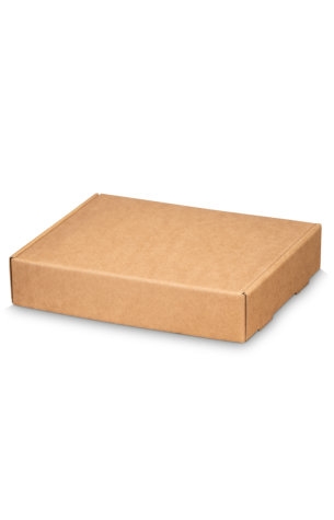 Klep Verzenddoos Pinto Groot Kraft 24.5x20x5cm 50stuks