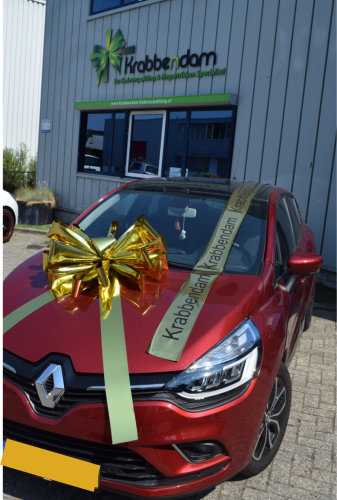 Magnum Bows Maxi Strik Metallic Goud Strik d60x105cm 20 Lussen