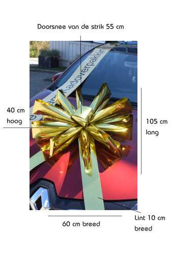 Magnum Bows Maxi Strik Metallic Goud Strik d60x105cm 20 Lussen