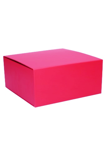 Luxe Magneetdozen New York Mat Fuchsia 22x22x10cm 1200gr 25stuks