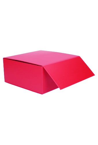 Luxe Magneetdozen New York Mat Fuchsia 22x22x10cm 1200gr 25stuks