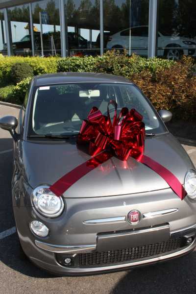 Magnum Bows Maxi Strik Metallic Zilver Strik d60x105cm 20 Lussen