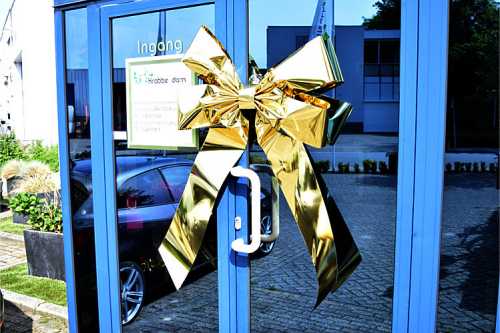 Magnum Strik Deur Livorno Metallic Goud Strik 70x50+60cm