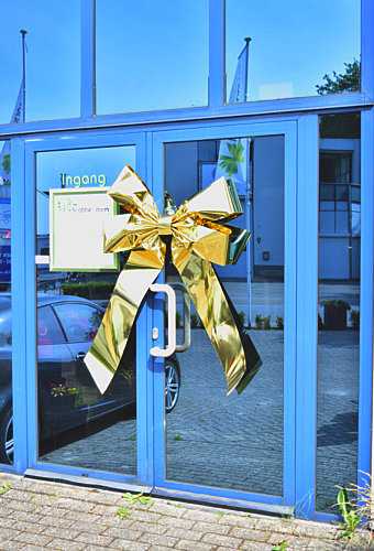 Magnum Strik Deur Livorno Metallic Goud Strik 70x50+60cm