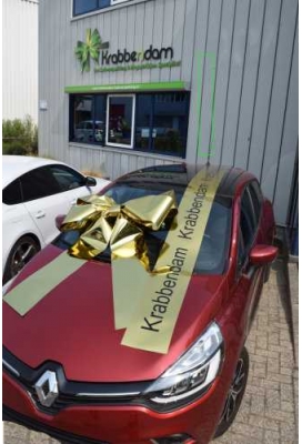 Magnum Autostrik Livorno Metallic Goud Strik 70x50+60cm