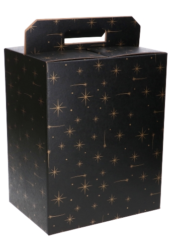 Geschenkdoos Draagbox Zwart Stars 28x20x35cm 50stuks