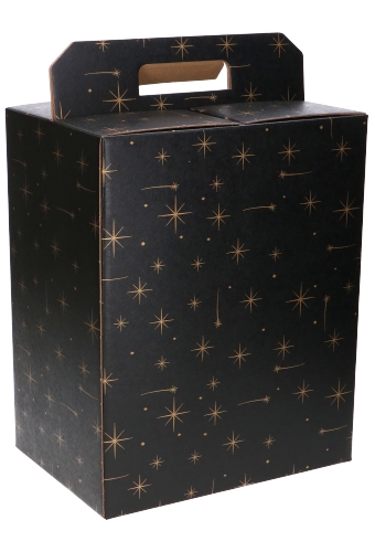 Geschenkdoos Draagbox Zwart Stars 28x20x35cm 50stuks