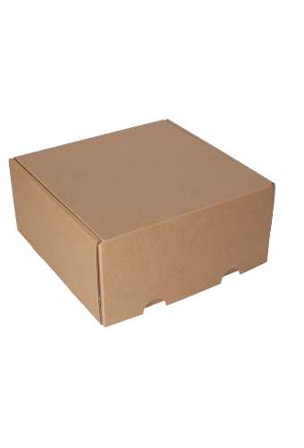 Luxe Verzenddoos Rolo Kraft Mat 24x23x11cm 25stuks